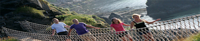 Mini-Coach Executive Travel & Tours