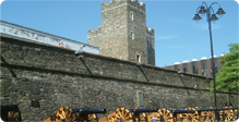 Coach Tours